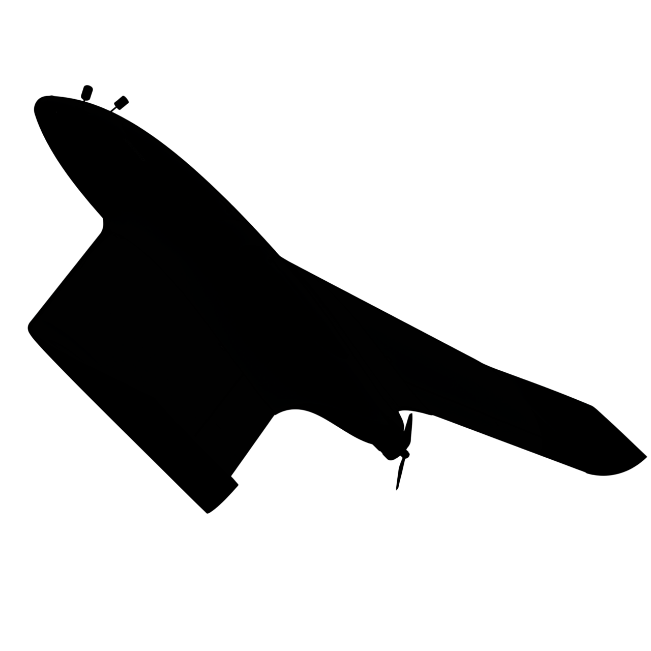 SkySentinel Astra